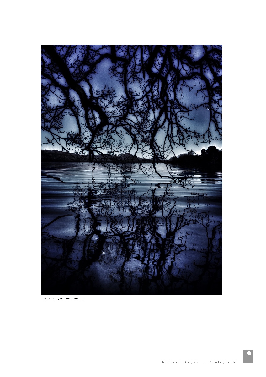 Chilly Trees - Loch Lomond (Scotland)