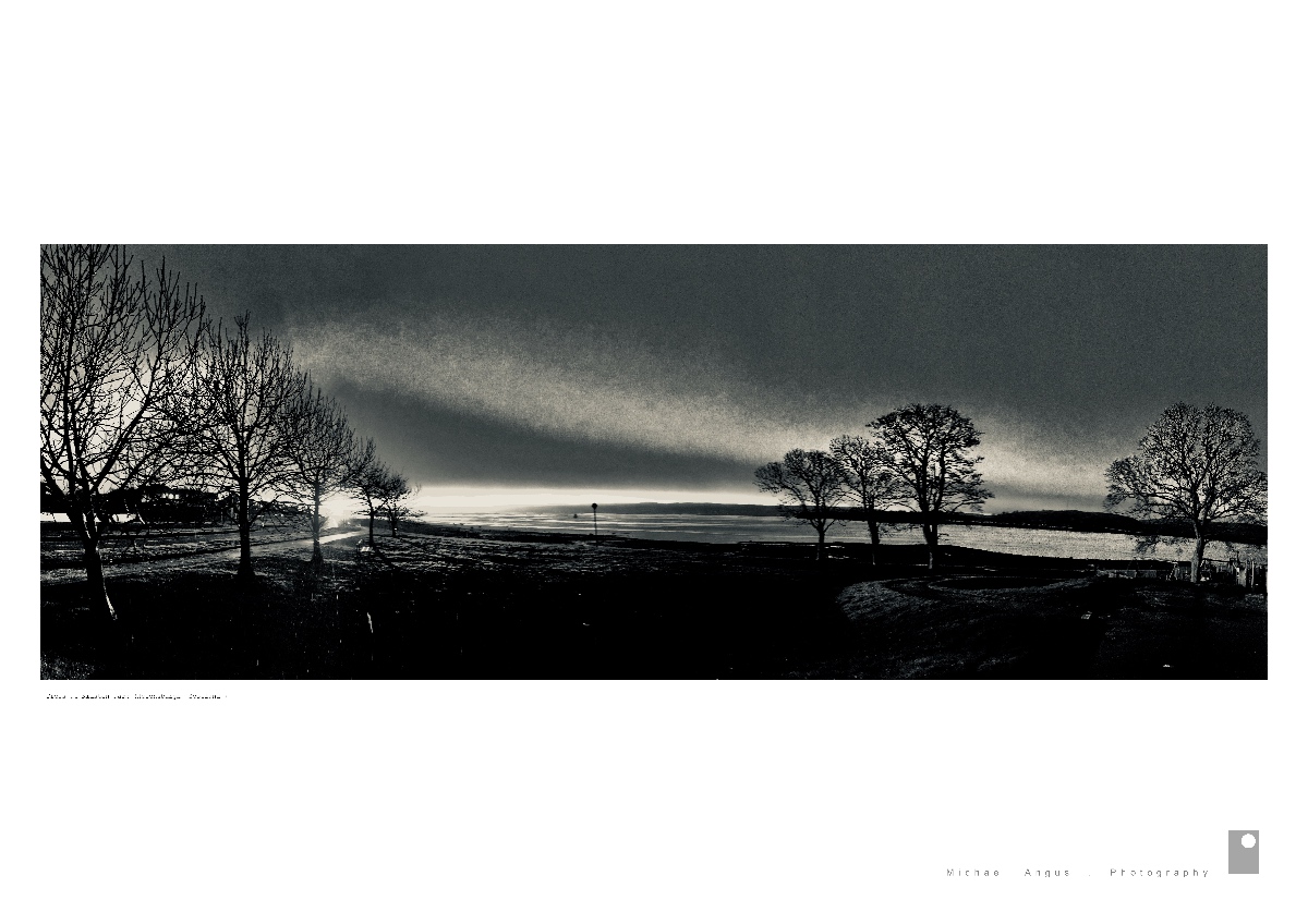 Trees at Kidston Park - Helensburgh (Scotland)