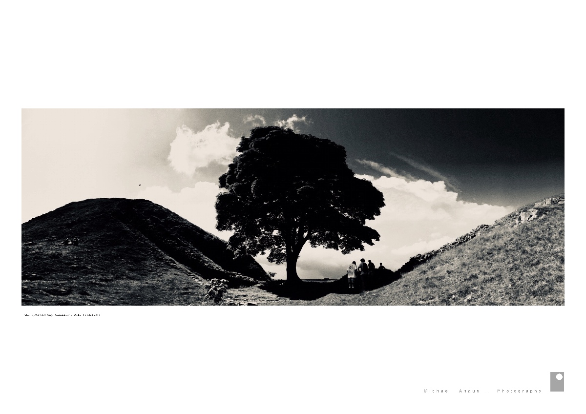 The Sycamore Gap Hadrian’s Wall (Cumbria)