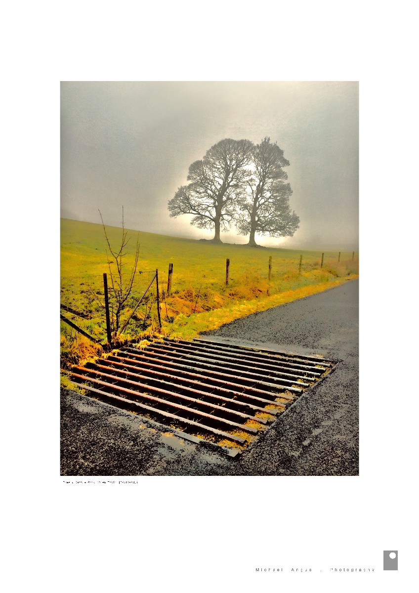 Twin Tree and Grate - Glen Fruin (Scotland)