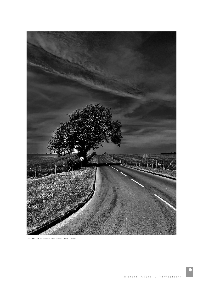 Solitary tree - Hadrian’s Wall (Cumbria)